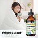 bio-krauter-echinacea-with-goldenseal-ti-6.jpg