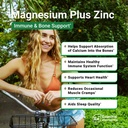 essential-elements-magnesium-zinc-with-v-3.jpg