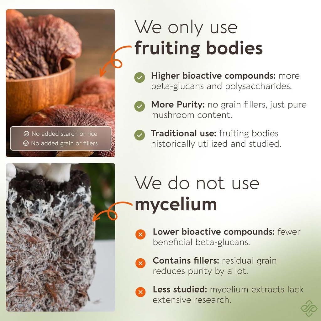 longevity-botanicals-reishi-mushroom-ext-4.jpg