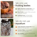 longevity-botanicals-reishi-mushroom-ext-4.jpg