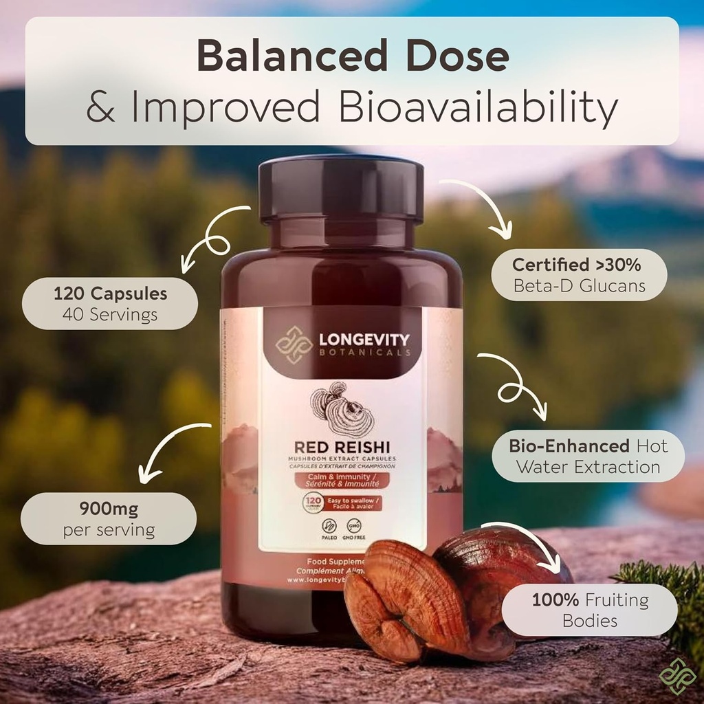 longevity-botanicals-reishi-mushroom-ext-5.jpg