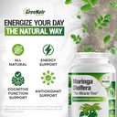 pure-moringa-oleifera-leaf-extract-veggi-4.jpg