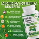 pure-moringa-oleifera-leaf-extract-veggi-6.jpg