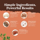 advanced-mushroom-complex-capsules---10x-4.jpg