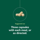 standard-process-inc-congaplex---thymus--5.jpg