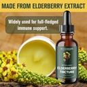 betterbrand-betterlungs-elderberry-tinct-3.jpg