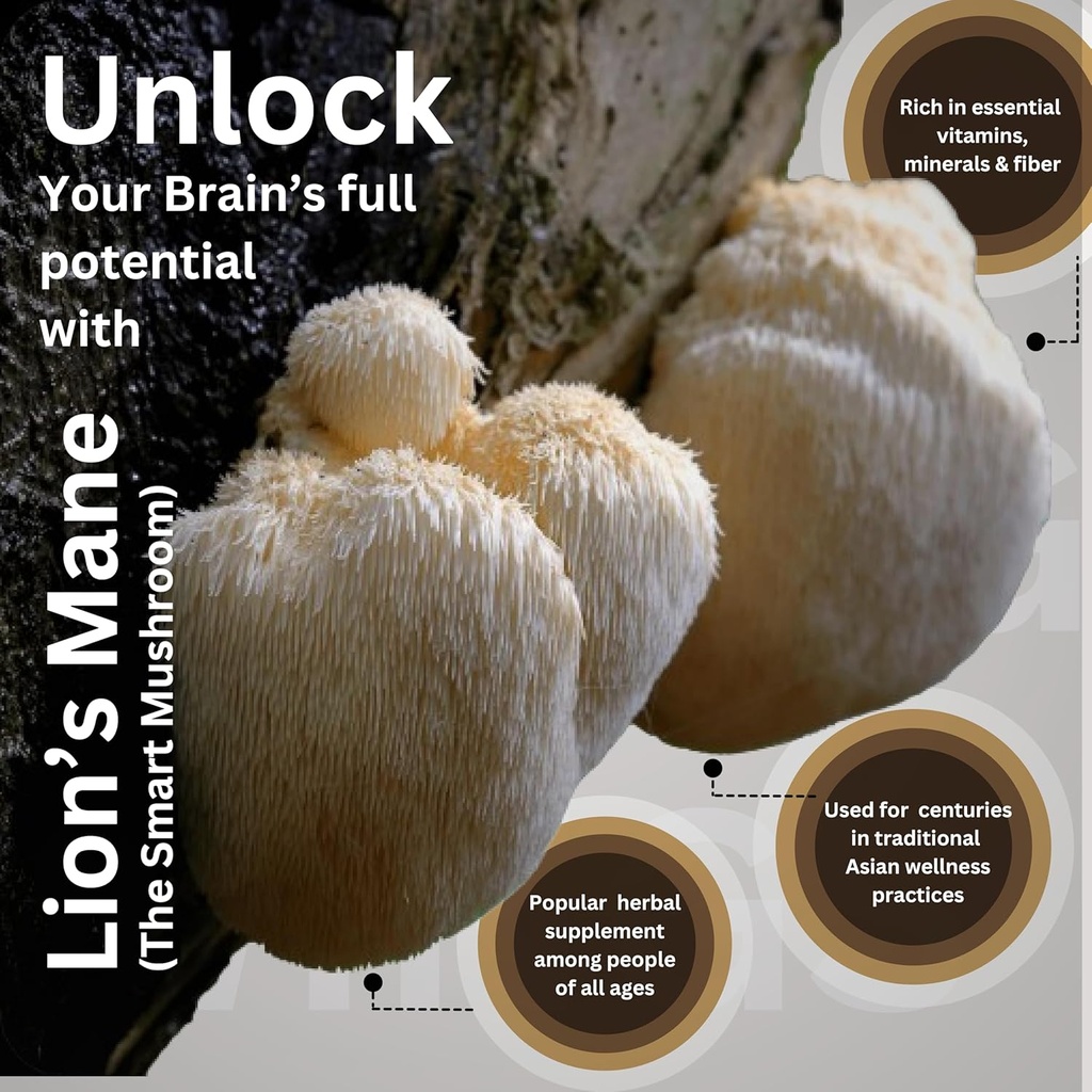 lions-mane-mushroom-cognition-4200mg-org-5.jpg