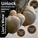lions-mane-mushroom-cognition-4200mg-org-5.jpg