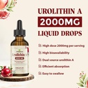urolithin-a-supplement---urolithin-a-200-4.jpg