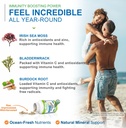 power-by-naturals-sea-moss-plus---usda-c-3.jpg