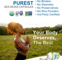 power-by-naturals-sea-moss-plus---usda-c-6.jpg