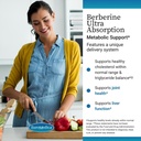 euromedica-ultra-absorption---brain-live-3.jpg