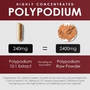 amalth-polypodium-leucotomos-extract-240-5.jpg