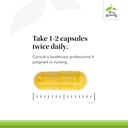 terry-naturally-arthocin---boswellia-ser-4.jpg