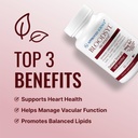 approved-science-bloodsyl---supports-blo-3.jpg