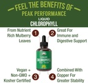 chlorophyll-liquid-drops---ultra-high-pu-2.jpg