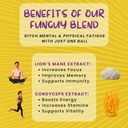 odd-balls-organic-energy-balls-lemon---s-3.jpg