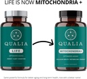 qualia-mitochondria-formerly-qualia-life-2.jpg