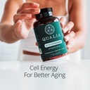 qualia-mitochondria-formerly-qualia-life-4.jpg