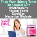 shizam-vaginal-urinary-tract-yeast-candi-5.jpg