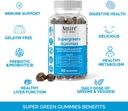 by-dr-awan-super-greens-gummies-fruits-v-3.jpg