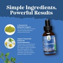high-absorption-l-theanine-liquid-drops--6.jpg