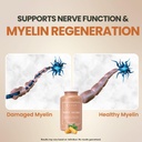 lune-nerve-matrix-nerve-support-suppleme-4.jpg