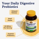 vitalitown-60-billion-cfu-probiotics-60--4.jpg