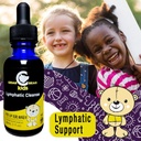 cedar-bear-lymphatic-cleanse-for-kids----2.jpg