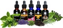 cedar-bear-lymphatic-cleanse-for-kids----3.jpg