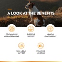 naturvet-all-in-one-dog-supplement---for-5.jpg