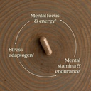 new-chapter-rhodiola-force-300mg-with-po-3.jpg