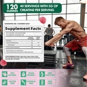 creatine-monohydrate-gummies-for-men-wom-5.jpg