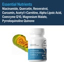 advanced-mitochondrial-formula-support-s-4.jpg