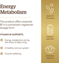 solgar-vitamin-b1-thiamin-500-mg-100-tab-4.jpg