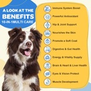 dog-multivitamin-with-probiotics---dog-v-2.jpg