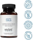 weyland-egcg-from-green-tea-extract-1-bo-6.jpg