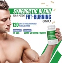 dr-vitamin-solutions-thermogenic-fat-bur-6.jpg