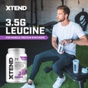 original-bcaa-powder-7g-bcaa-and-25g-l-g-4.jpg