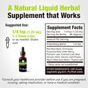 cedar-bear---lymphatic-cleanse-immune-su-2.jpg