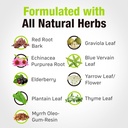 cedar-bear---lymphatic-cleanse-immune-su-4.jpg