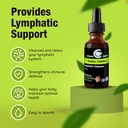 cedar-bear---lymphatic-cleanse-immune-su-6.jpg