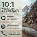 organic-wild-bilberry-extract-for-eyes-b-3.jpg