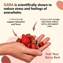 pym-berry-mood-chews-support-for-stress--5.jpg