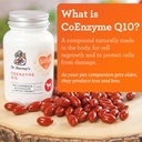 dr-harveys-coenzyme-q10---heart-cardiova-2.jpg
