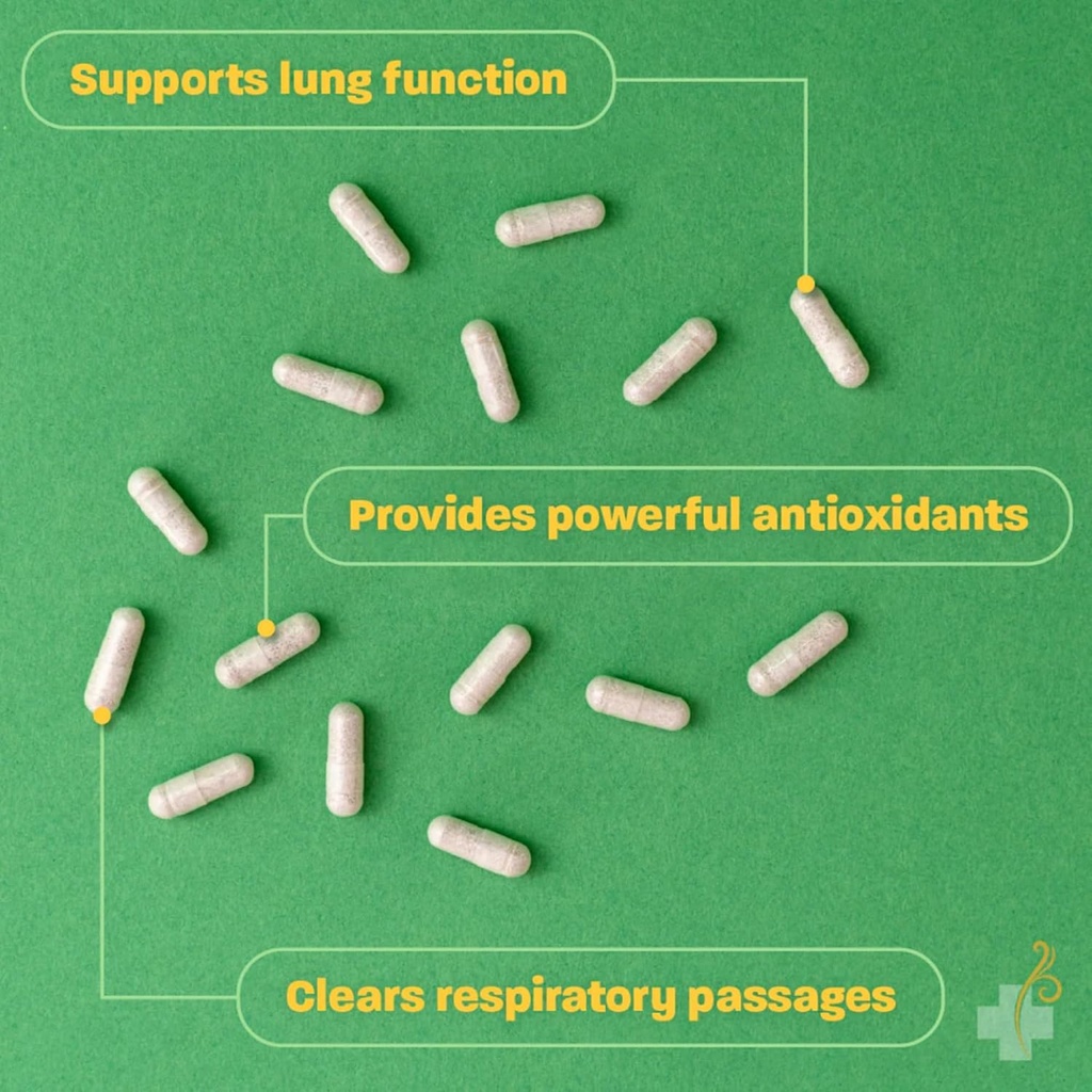 redd-remedies-lung-care-supports-easy-br-3.jpg