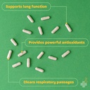 redd-remedies-lung-care-supports-easy-br-3.jpg