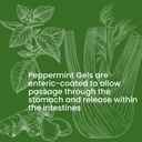 peppermint-gels-90-enteric-coated-softge-6.jpg