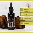naturealm-chaga-mushroom-liquid-tincture-3.jpg