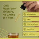 naturealm-chaga-mushroom-liquid-tincture-6.jpg